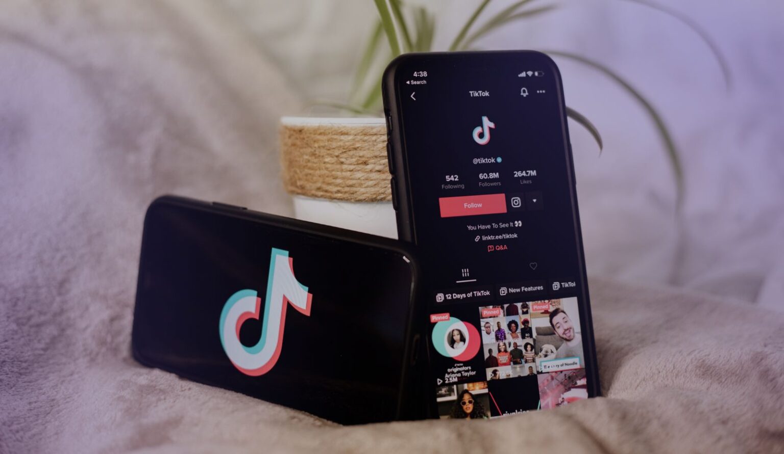 TikTok Archives voice.ai