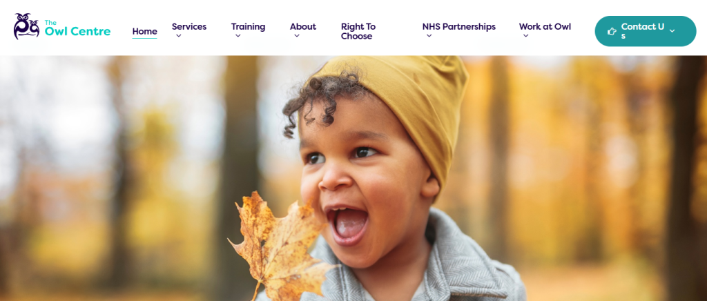 the owl - Viewics Alternatives