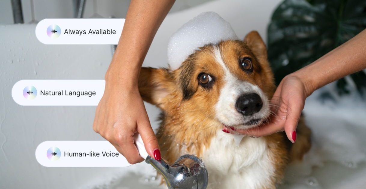 Agent for Pet Grooming