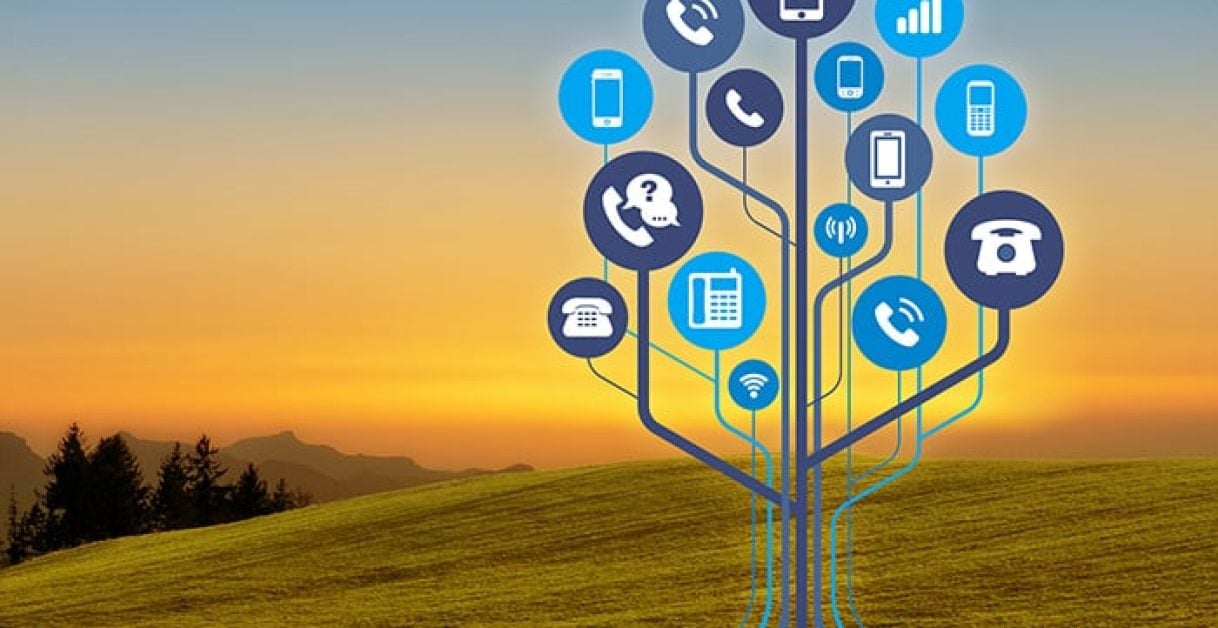 phone tree - Phone Tree Template